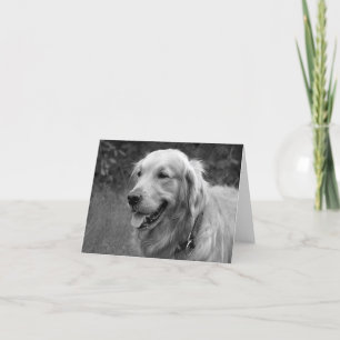 Golden Retriever Puppy Dog Blank Card