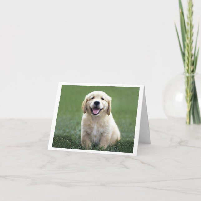 Golden Retriever Puppy Dog Blank Card (Front)