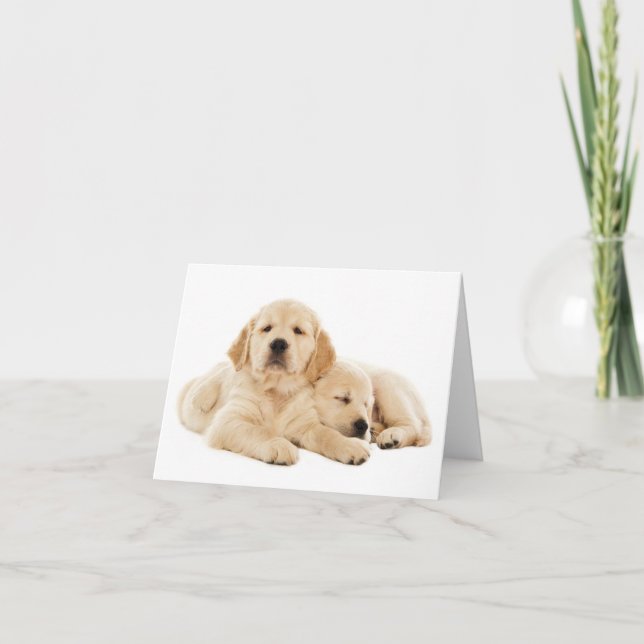 Golden Retriever Puppy Dog Blank Note Card (Front)