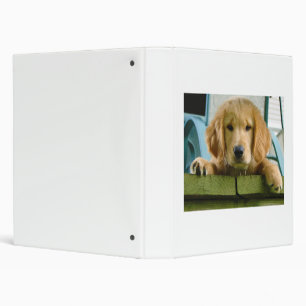 Golden Retriever Puppy Dog Canis Lupus Familiaris Binder