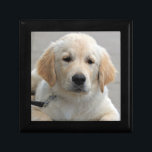 Golden Retriever puppy dog cute beautiful photo Gift Box<br><div class="desc">Beautiful photo of a cute golden retriever dog trinket box,   gift box,  jewellery box.  great gift idea for dog lovers</div>