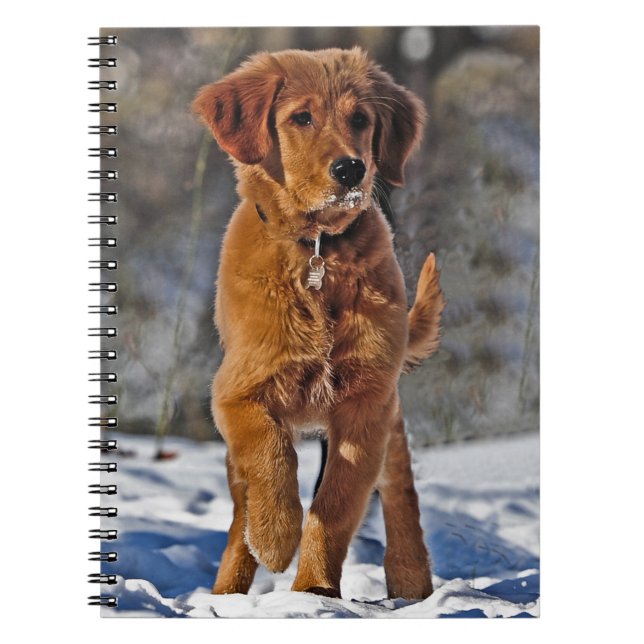 Golden Retriever Puppy Dog in the snow Notebook (Front)