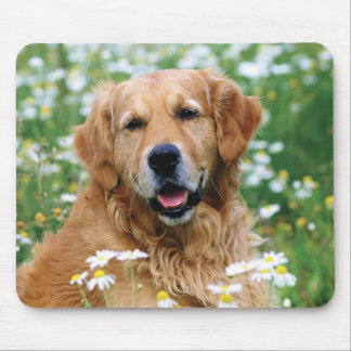Golden Retriever Puppy Dog Mouse Pad