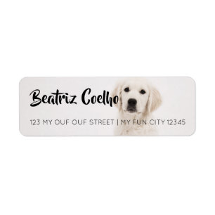Golden Retriever Puppy Dog Themed Decorative Plain