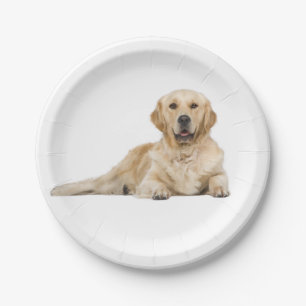 Golden Retriever Puppy Dog Wedding Party Paper Plate