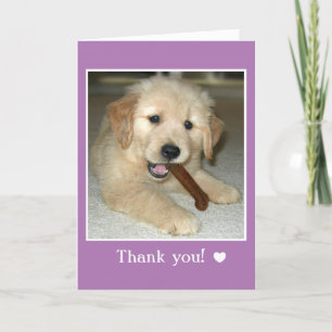 Golden Retriever Puppy Dog With Bone Thank You Card
