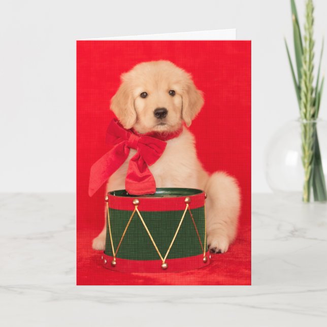 Golden Retriever Puppy Drummer Boy Holiday Card (Front)