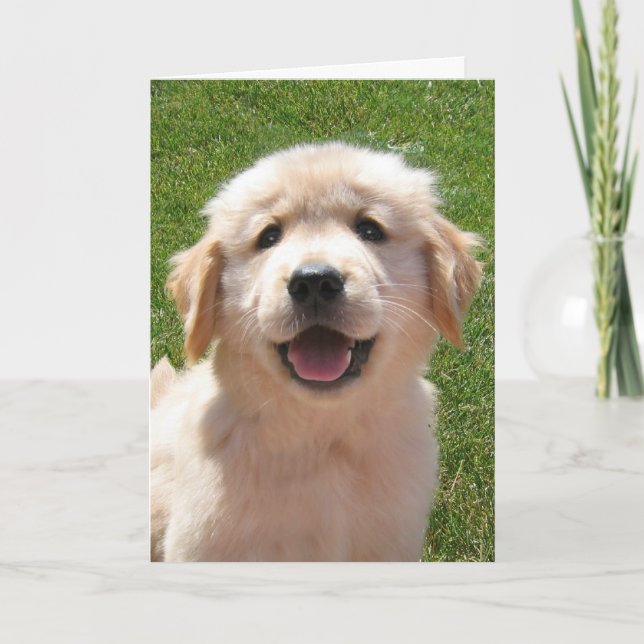 Golden Retriever Puppy Father's Day Card (Front)