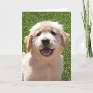 Golden Retriever Puppy Father's Day Card