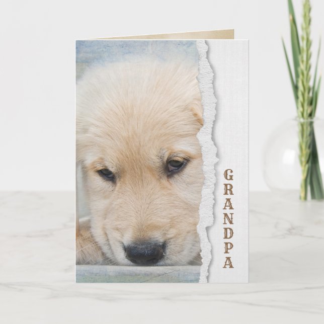 golden retriever puppy for Grandpa Card (Front)