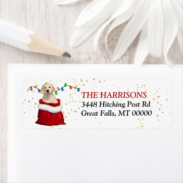 Golden Retriever Puppy Gift Bag Return Address (Insitu)