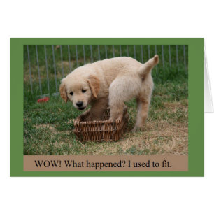 Golden Retriever Puppy Grossing Up Funny Card