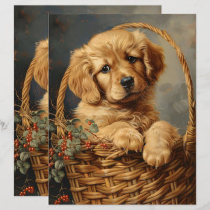 Golden Retriever Puppy in a Basket Scrapbook Paper