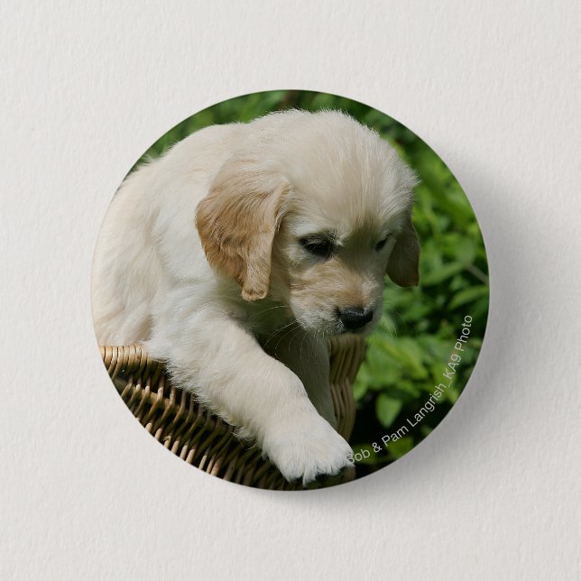 Golden Retriever Puppy in Basket 2 Inch Round Button (Front)
