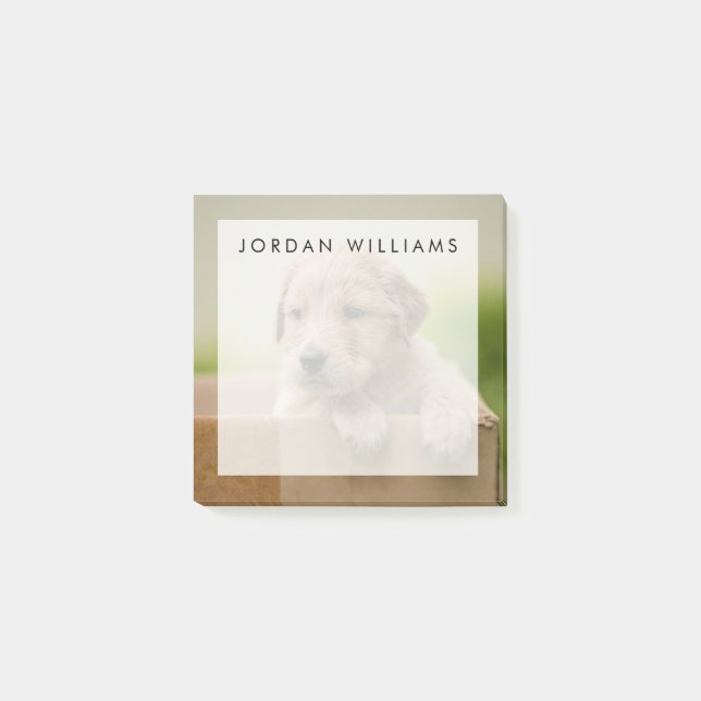 Golden Retriever Puppy in Box Post-it Notes (Front)