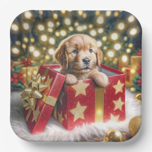 Golden Retriever Puppy in Christmas Box Paper Plate