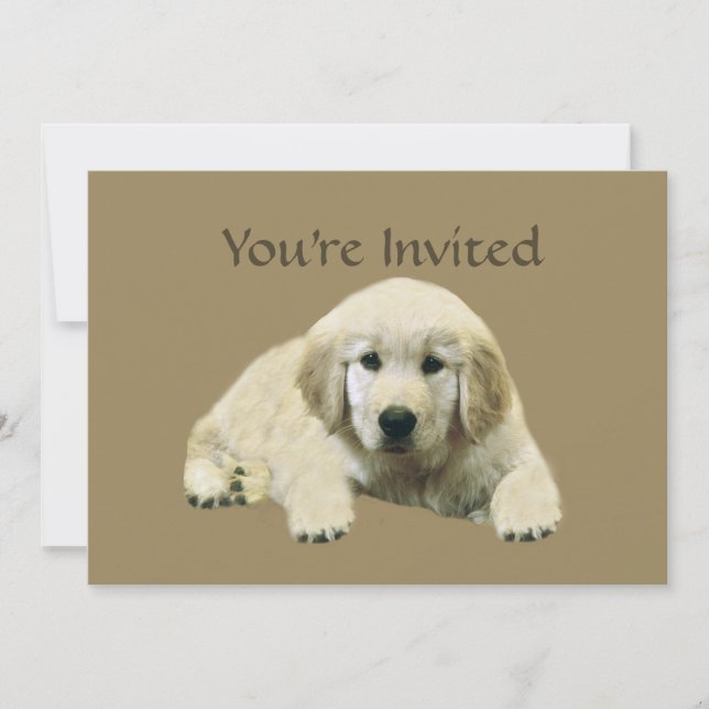Golden Retriever Puppy Invitation (Front)