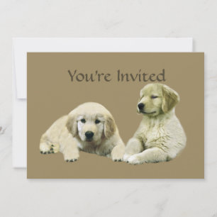 Golden Retriever Puppy Invitation