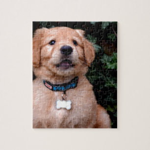 Golden Retriever Puppy Jigsaw Puzzle