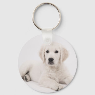 Golden Retriever Puppy Keychain