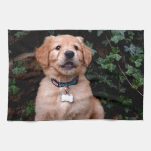 Golden Retriever Puppy Kitchen Towel