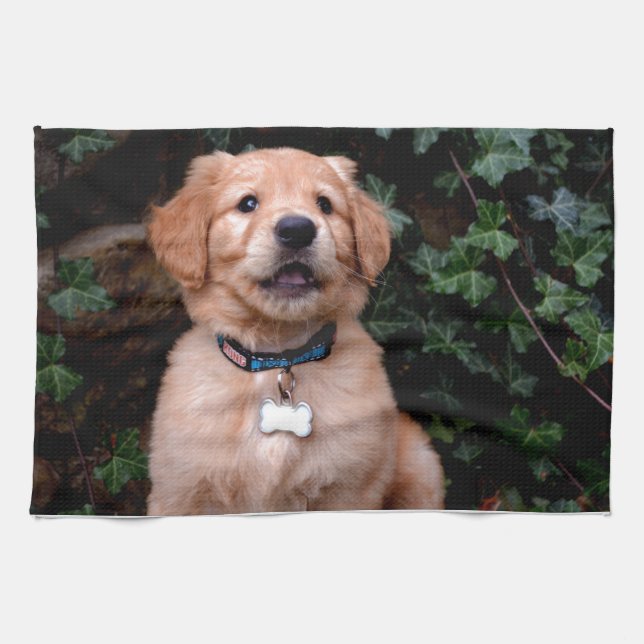 Golden Retriever Puppy Kitchen Towel (Horizontal)