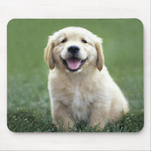 Golden Retriever Puppy Mousepad