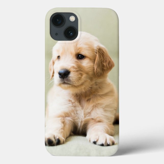 Golden Retriever Puppy on Couch Case-Mate iPhone Case (Back)