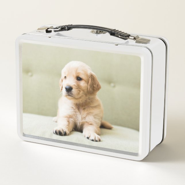 Golden Retriever Puppy on Couch Metal Lunch Box (Back)