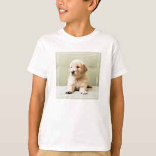 Golden Retriever Puppy on Couch T-Shirt