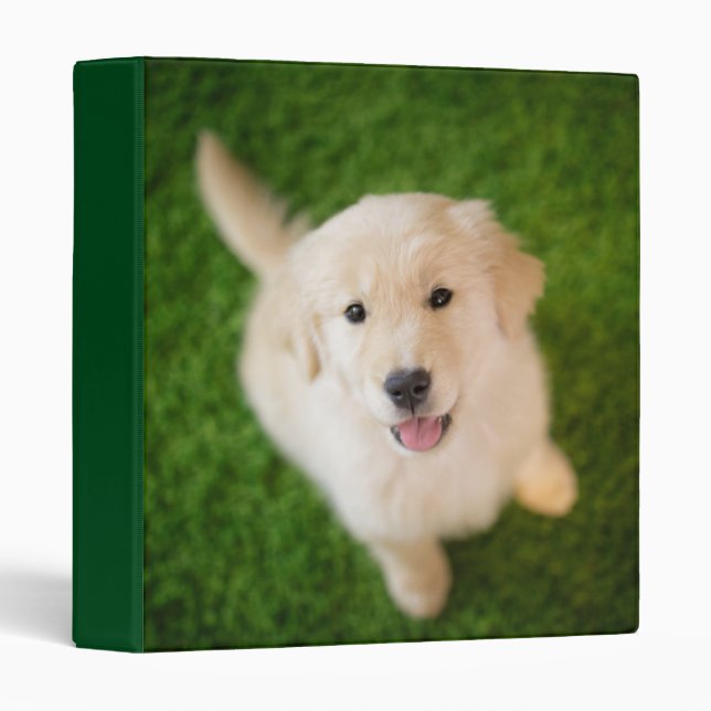 Golden Retriever Puppy on Grass Binder (Front/Spine)