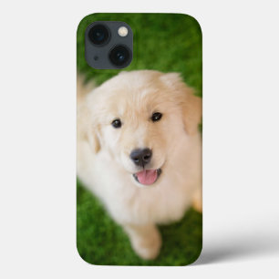 Golden Retriever Puppy on Grass iPhone 13 Case