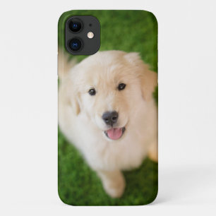 Golden Retriever Puppy on Grass iPhone 11 Case