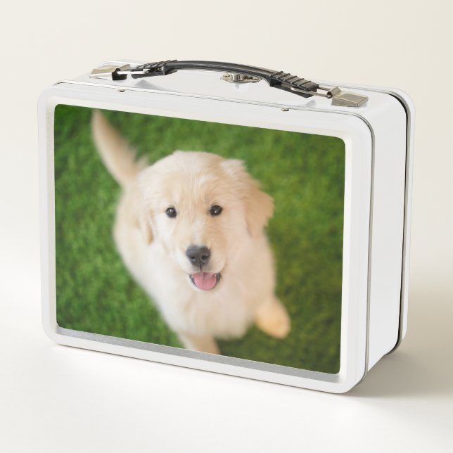 Golden Retriever Puppy on Grass Metal Lunch Box (Back)