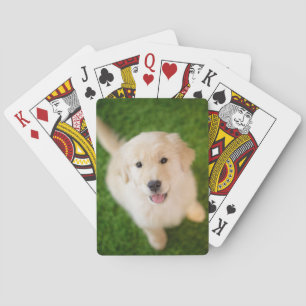 Golden Retriever Puppy on Grass Playing Cards