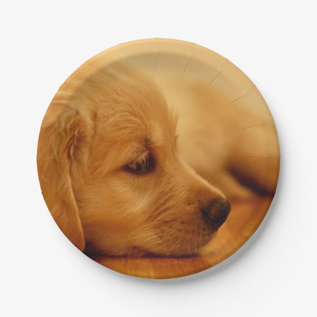 Golden Retriever Puppy Paper Plate (Front)