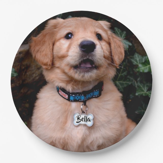 Golden Retriever Puppy personalize name tag Paper Plate (Front)