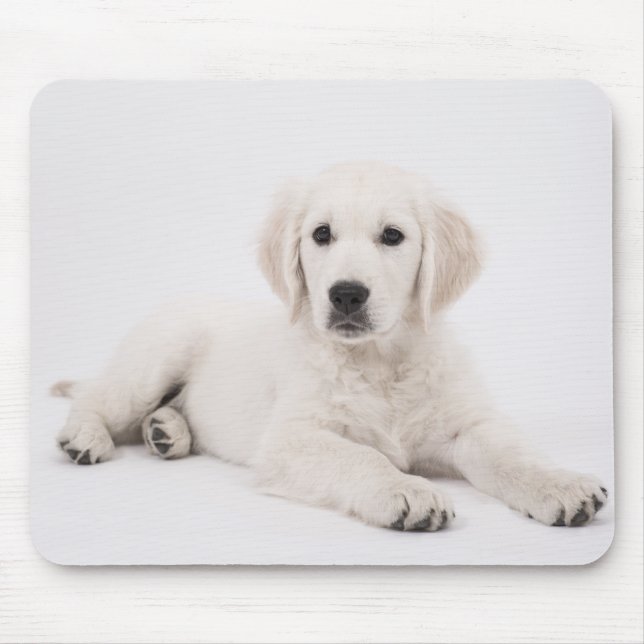 Golden Retriever Puppy Photo Mouse Pad (Front)