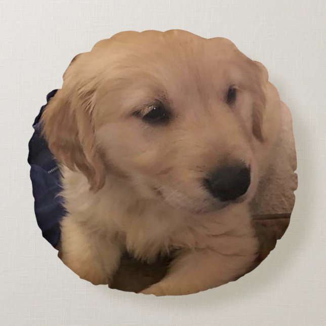 Golden Retriever Puppy Pillow (Front)