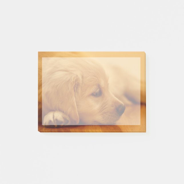 Golden Retriever Puppy Post-it Notes (Front)