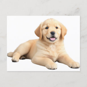 Golden Retriever Puppy Postcard
