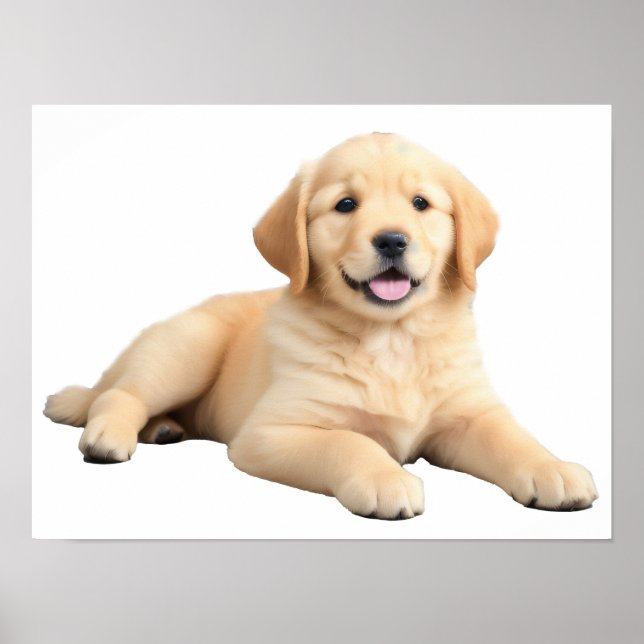 Golden Retriever Puppy Poster (Front)