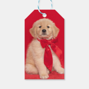 Golden Retriever Puppy Red Ribbon Gift Tags