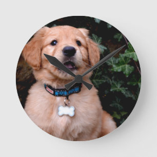Golden Retriever Puppy Round Clock