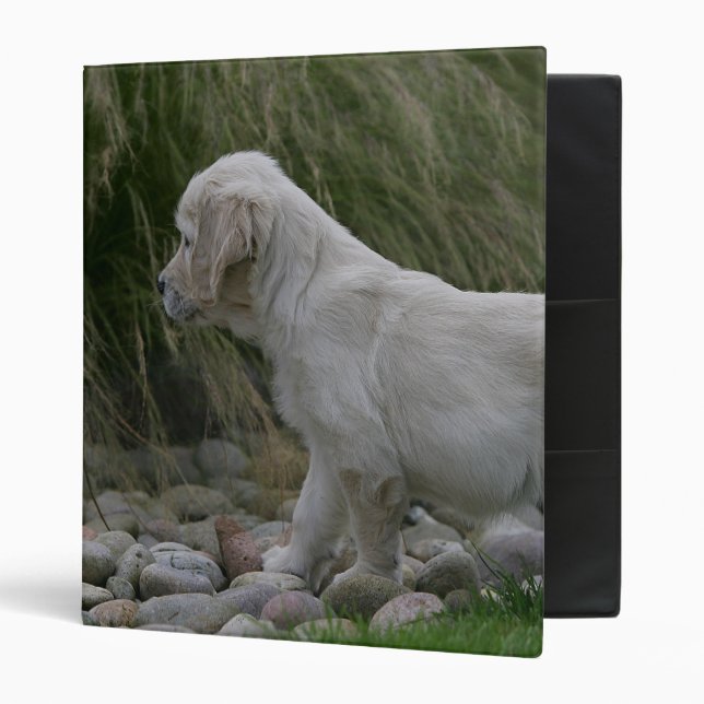 Golden Retriever Puppy Standing Binder (Front/Inside)