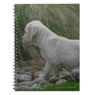 Golden Retriever Puppy Standing Notebook