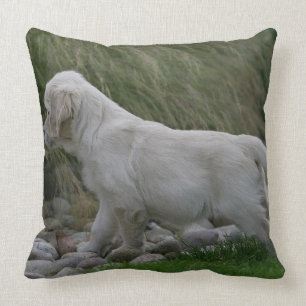 Golden Retriever Puppy Standing Throw Pillow