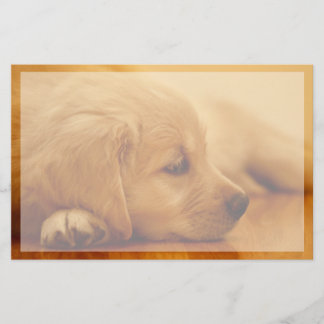 Golden Retriever Puppy Stationery