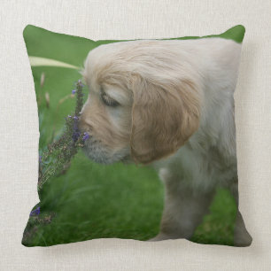 Golden Retriever Puppy Throw Pillow