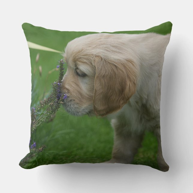 Golden Retriever Puppy Throw Pillow (Front)
